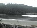 ./images/calvert/beach/20161114/beach20161114_165002.jpg
