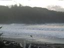 ./images/calvert/beach/20161115/beach20161115_104001.jpg