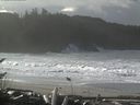 ./images/calvert/beach/20161115/beach20161115_105002.jpg