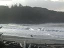 ./images/calvert/beach/20161115/beach20161115_105502.jpg