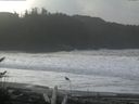 ./images/calvert/beach/20161115/beach20161115_113003.jpg
