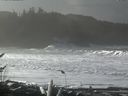 ./images/calvert/beach/20161115/beach20161115_113503.jpg