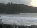 ./images/calvert/beach/20161115/beach20161115_115501.jpg
