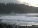 ./images/calvert/beach/20161115/beach20161115_120501.jpg