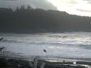 ./images/calvert/beach/20161115/beach20161115_121002.jpg