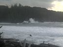 ./images/calvert/beach/20161115/beach20161115_124503.jpg