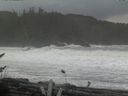 ./images/calvert/beach/20161115/beach20161115_134003.jpg