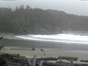 ./images/calvert/beach/20161116/beach20161116_092502.jpg