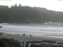 ./images/calvert/beach/20161116/beach20161116_112502.jpg