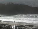 ./images/calvert/beach/20161116/beach20161116_114002.jpg