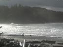 ./images/calvert/beach/20161116/beach20161116_114503.jpg