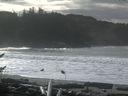 ./images/calvert/beach/20161116/beach20161116_115502.jpg