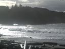 ./images/calvert/beach/20161116/beach20161116_121502.jpg