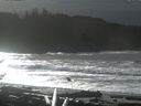 ./images/calvert/beach/20161116/beach20161116_123001.jpg