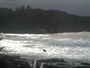 ./images/calvert/beach/20161116/beach20161116_125003.jpg