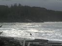 ./images/calvert/beach/20161116/beach20161116_125503.jpg