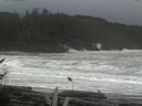 ./images/calvert/beach/20161116/beach20161116_130003.jpg