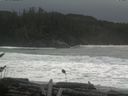 ./images/calvert/beach/20161116/beach20161116_130503.jpg