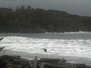 ./images/calvert/beach/20161116/beach20161116_131503.jpg