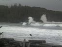 ./images/calvert/beach/20161116/beach20161116_132503.jpg