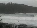 ./images/calvert/beach/20161116/beach20161116_141502.jpg