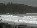 ./images/calvert/beach/20161116/beach20161116_143501.jpg