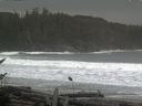 ./images/calvert/beach/20161116/beach20161116_144002.jpg