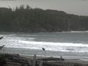 ./images/calvert/beach/20161116/beach20161116_144502.jpg