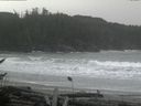 ./images/calvert/beach/20161116/beach20161116_145002.jpg