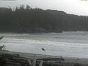 ./images/calvert/beach/20161116/beach20161116_150502.jpg