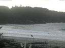 ./images/calvert/beach/20161117/beach20161117_131501.jpg