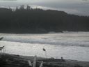 ./images/calvert/beach/20161117/beach20161117_134001.jpg