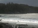 ./images/calvert/beach/20161117/beach20161117_140502.jpg