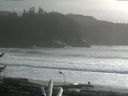 ./images/calvert/beach/20161117/beach20161117_145502.jpg