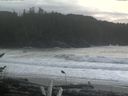 ./images/calvert/beach/20161117/beach20161117_150502.jpg