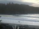 ./images/calvert/beach/20161117/beach20161117_151001.jpg