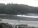 ./images/calvert/beach/20161118/beach20161118_084503.jpg
