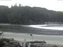 ./images/calvert/beach/20161118/beach20161118_085502.jpg
