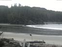 ./images/calvert/beach/20161118/beach20161118_091502.jpg