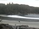 ./images/calvert/beach/20161118/beach20161118_111002.jpg