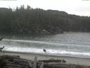 ./images/calvert/beach/20161118/beach20161118_151001.jpg