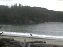 ./images/calvert/beach/20161118/beach20161118_153002.jpg