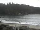 ./images/calvert/beach/20161118/beach20161118_154003.jpg