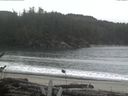 ./images/calvert/beach/20161118/beach20161118_154502.jpg