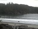 ./images/calvert/beach/20161118/beach20161118_155002.jpg