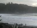 ./images/calvert/beach/20161128/beach20161128_121003.jpg