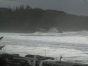 ./images/calvert/beach/20161128/beach20161128_124002.jpg