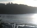 ./images/calvert/beach/20161216/beach20161216_141002.jpg