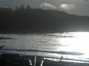 ./images/calvert/beach/20161231/beach20161231_135503.jpg