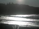 ./images/calvert/beach/20170101/beach20170101_133001.jpg